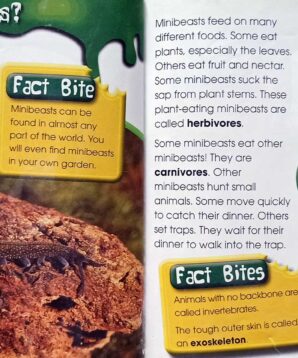 Alternative view of Minibeasts