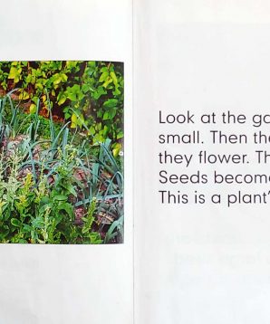 Alternative view of Nature's cycles: plants