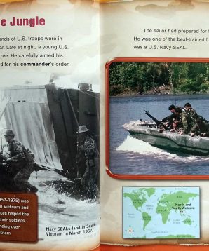 Alternative view of Navy SEALs in action