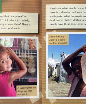 Alternative view of Needs and wants