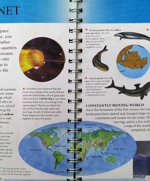 Alternative view of Oceans and rain forests