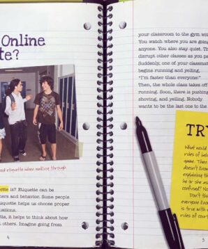 Alternative view of Online etiquette and safety