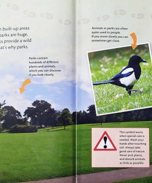 Alternative view of Nature trail: park