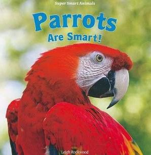 Parrots are smart