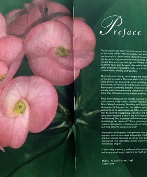 Alternative view of Plant magic