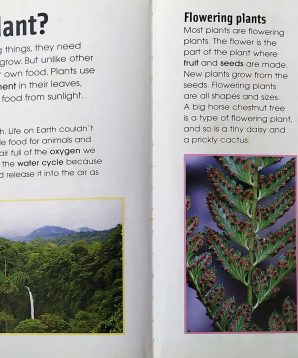 Alternative view of Starting science: plants