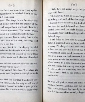 Alternative view of Player's ruse