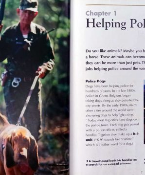 Alternative view of Working animals: police