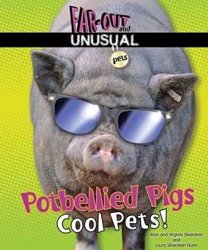 Potbellied pigs: cool pets