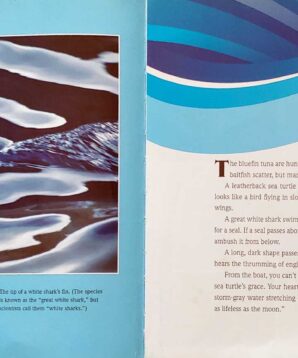 Alternative view of Prowling the seas