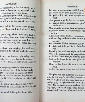 Alternative view of Romeo and Juliet