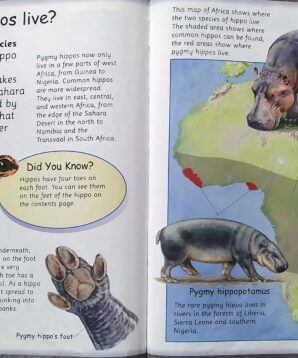 Alternative view of Scary creatures: hippos