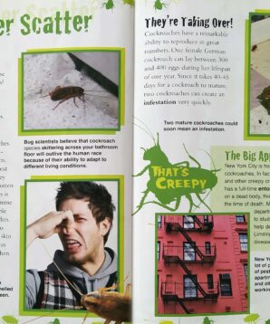 Alternative view of Scurrying cockroaches