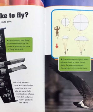 Alternative view of Secrets of flight