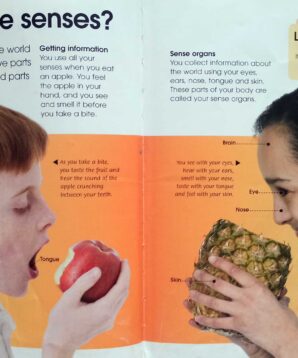 Alternative view of Your body inside and out: senses