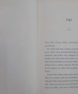 Alternative view of Sign language