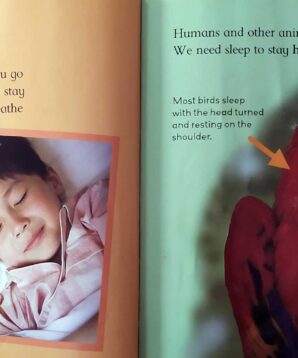 Alternative view of Sleep and rest