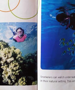 Alternative view of Snorkeling for fun