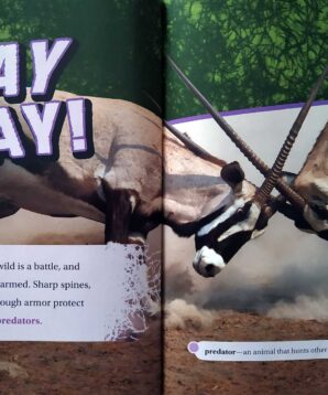 Alternative view of Spines, horns and armor: animal weapons and defenses