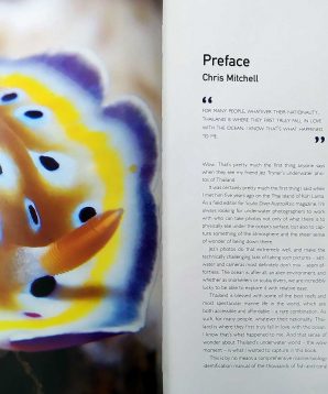 Alternative view of Thailand's underwater world