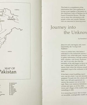 Alternative view of The craft traditions of Pakistan