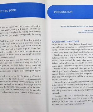 Alternative view of The diabetes companion