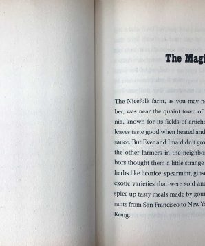 Alternative view of The adventures of Hotsy Totsy