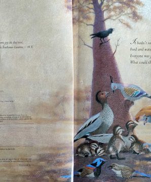 Alternative view of The bush concert