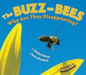 The buzz on bees: why are they disappearing
