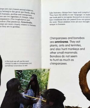 Alternative view of The chimpanzee book