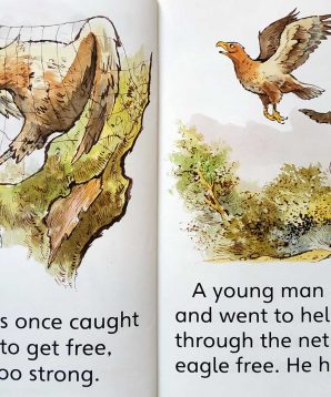 Alternative view of The eagle and the man