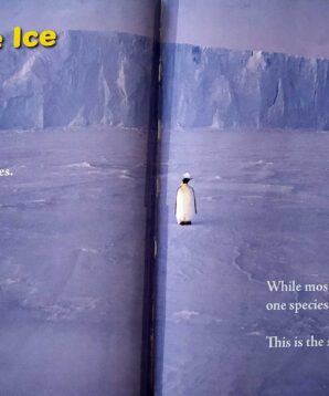 Alternative view of The emperor's kingdom: penguins on ice