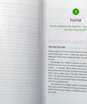 Alternative view of The green book