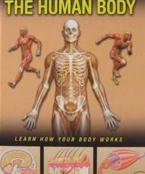The human body: learn how your body works