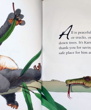 Alternative view of The koala bounces back