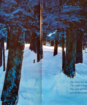 Alternative view of The longest night