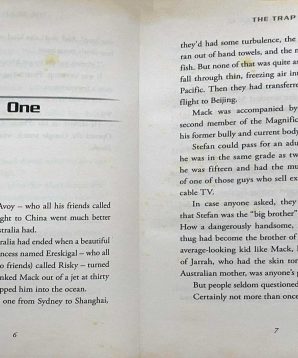 Alternative view of The Magnificent 12: the trap