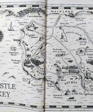 Alternative view of The mystery of the black salamander