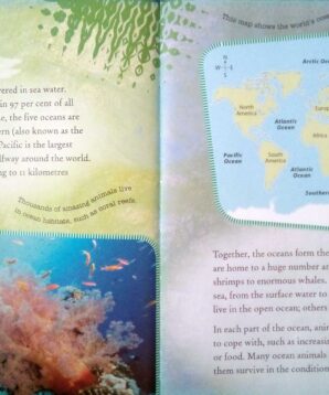 Alternative view of The ocean's most amazing animals