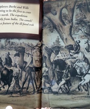 Alternative view of The odd-shaped horse