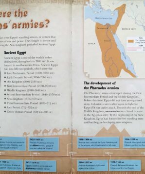 Alternative view of The pharaohs' armies