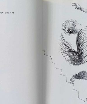 Alternative view of The raven