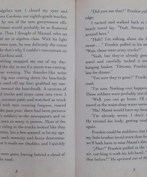 Alternative view of The red umbrella