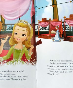 Alternative view of The royal slumber party