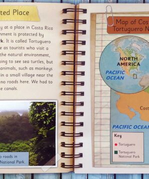 Alternative view of The sea turtles of Tortuguero