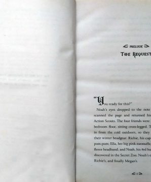 Alternative view of The secret zoo: secrets and shadows