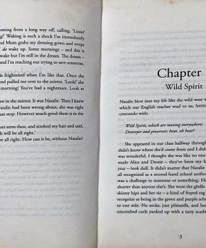 Alternative view of The seeing