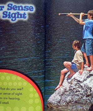 Alternative view of The sense of sight