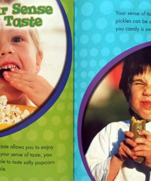 Alternative view of The sense of taste