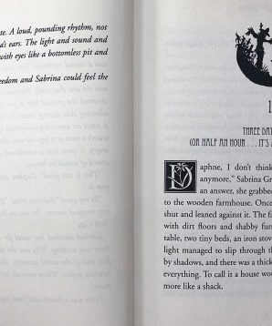 Alternative view of The Sisters Grimm: the inside story